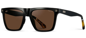 1081 Polarized